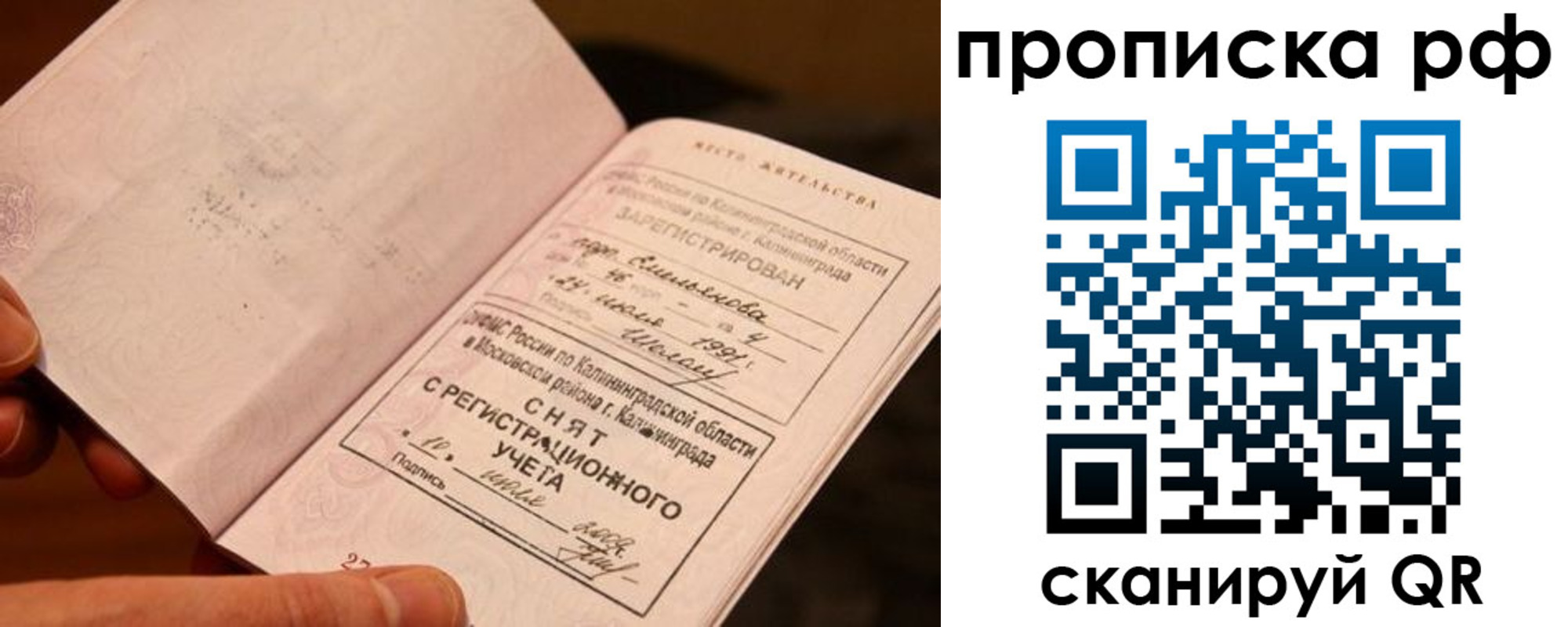 прописка гарантия в Осташкове
